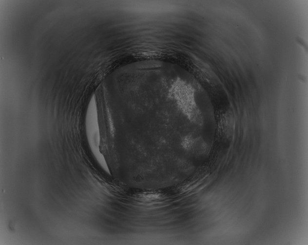 X0000092290651200710051202