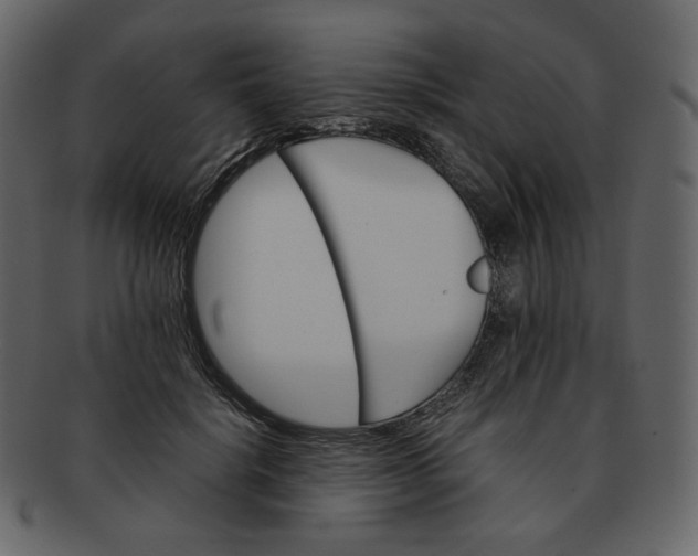 X0000092290652200710051202