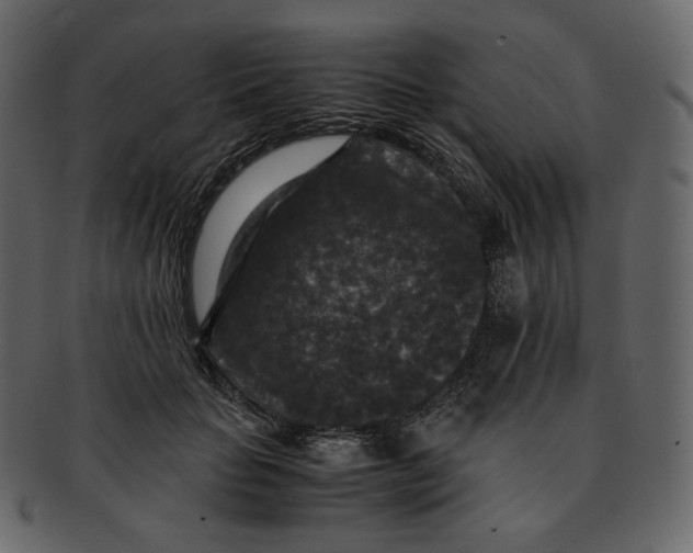 X0000092290653200710051202