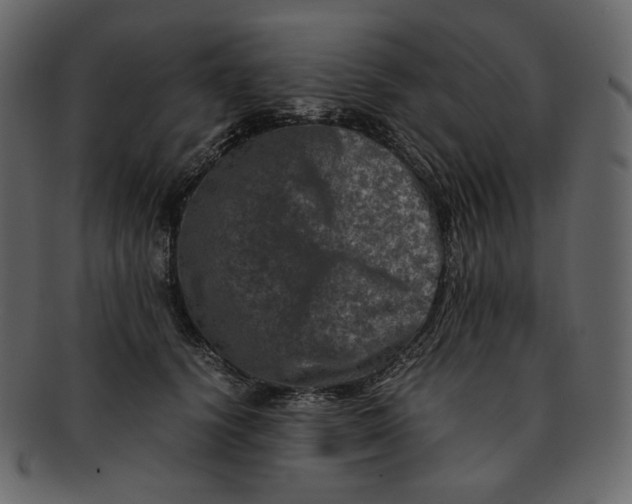 X0000092290656200710051202