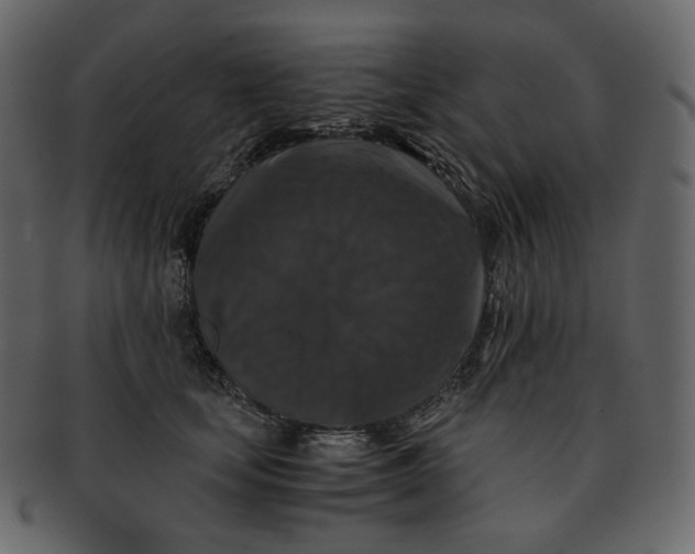 X0000092290659200710051203