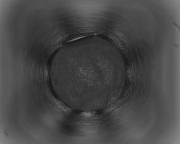 X0000092290662200710051203