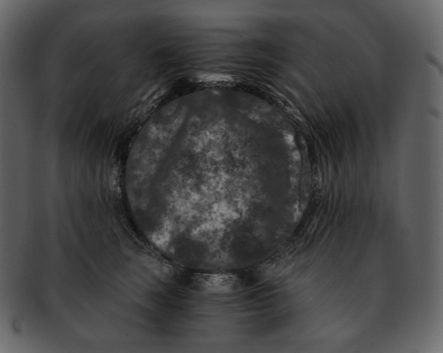 X0000092290663200710051203