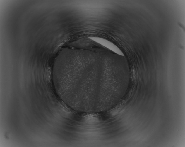 X0000092290664200710051203