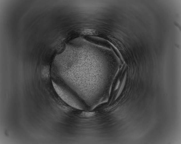 X0000092290665200710051203