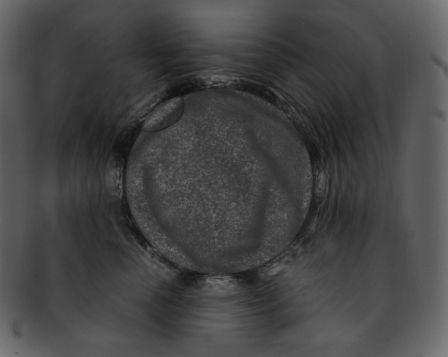 X0000092290666200710051203