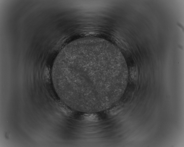 X0000092290667200710051203