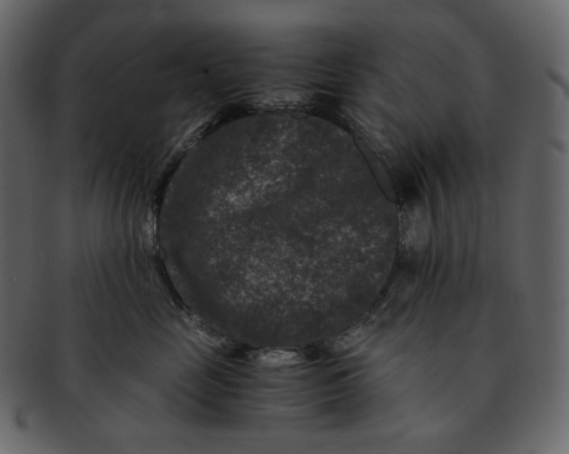 X0000092290669200710051203