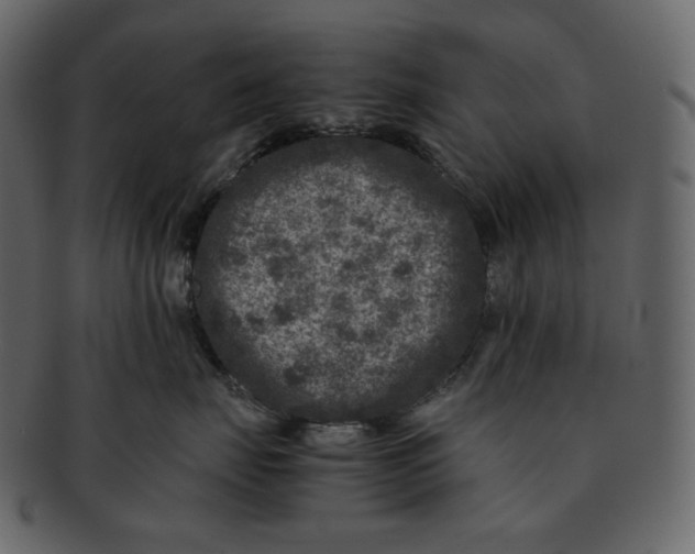 X0000092290671200710051203