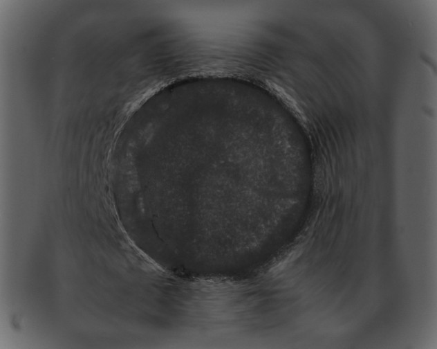 X0000092290673200710051202