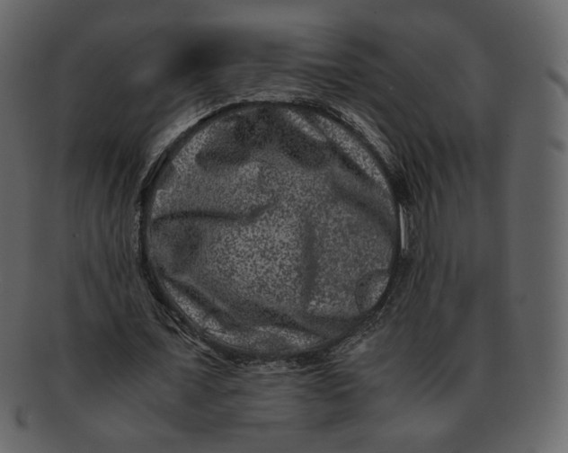 X0000092290675200710051202