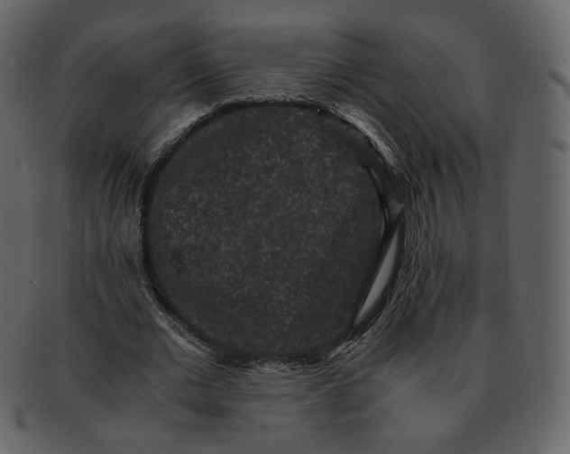 X0000092290677200710051202