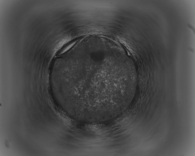 X0000092290679200710051202