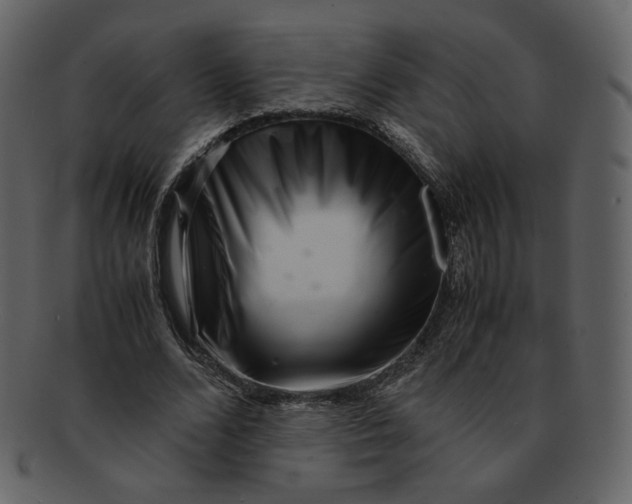 X0000092290680200710051202