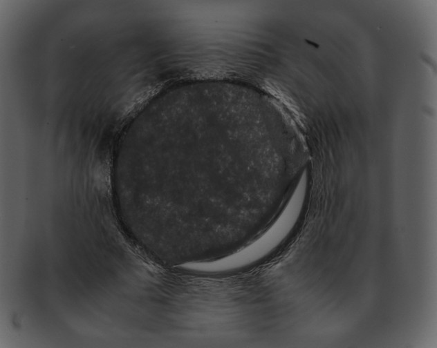 X0000092290681200710051202