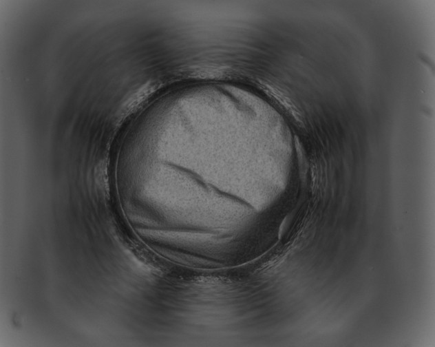 X0000092290682200710051202