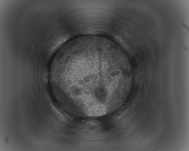 X0000092290683200710051202