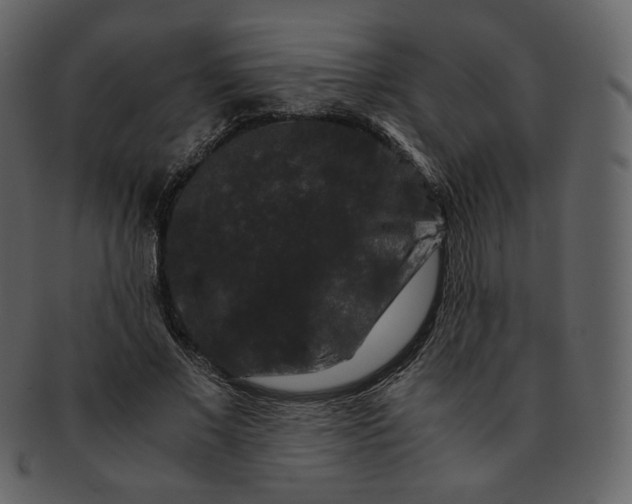 X0000092290685200710051202