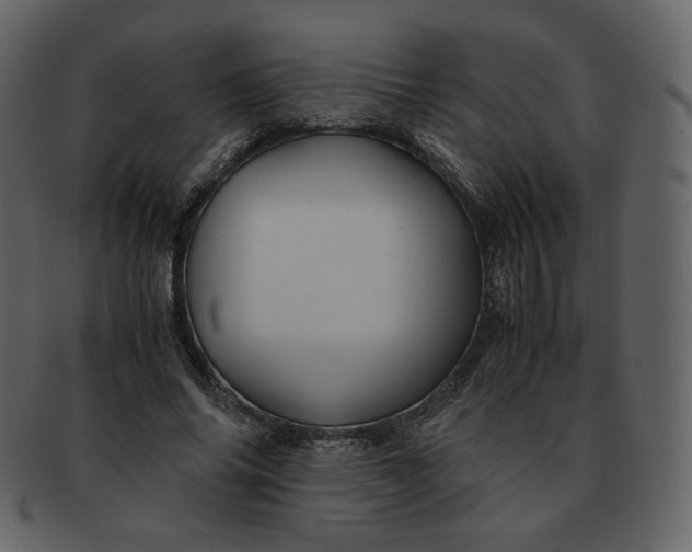 X0000092290686200710051202