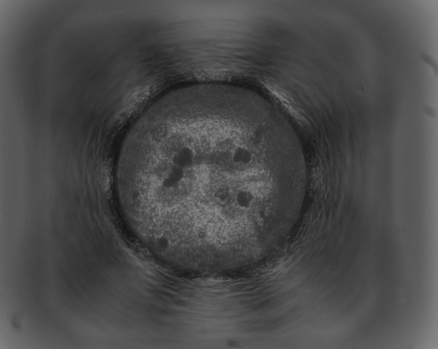 X0000092290687200710051202