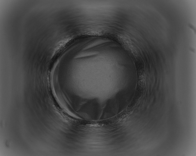 X0000092290688200710051202