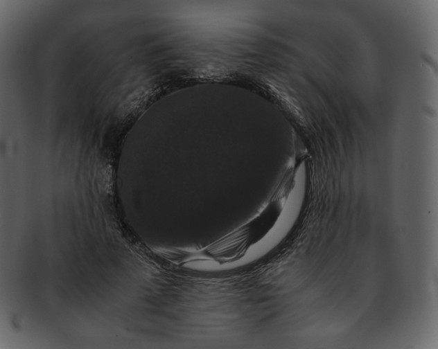 X0000092290689200710051202