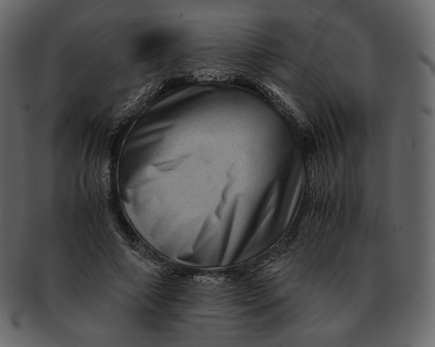 X0000092290690200710051202