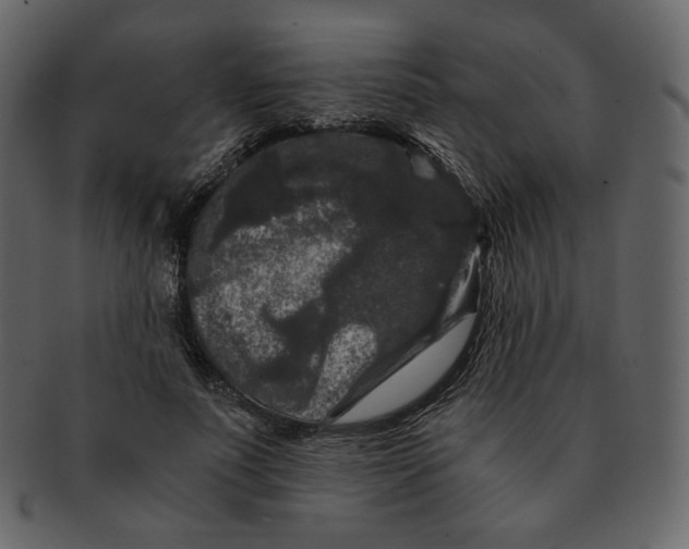 X0000092290691200710051202