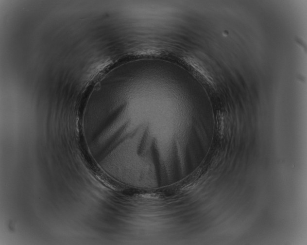 X0000092290692200710051202