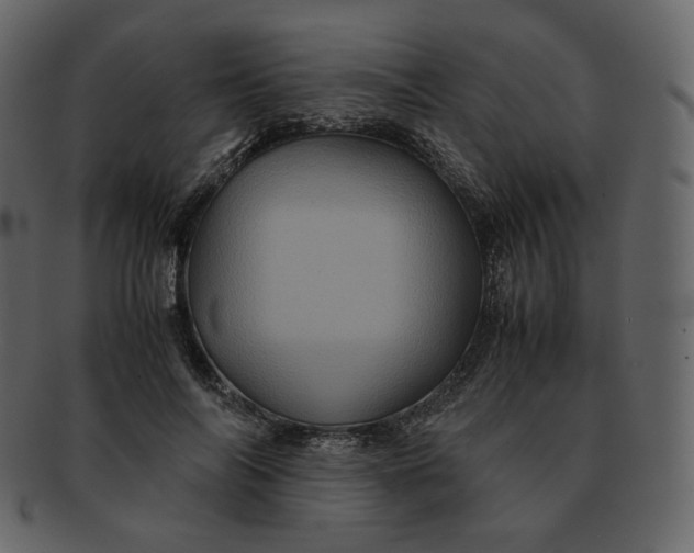 X0000092290694200710051202