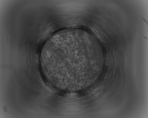 X0000092290695200710051202