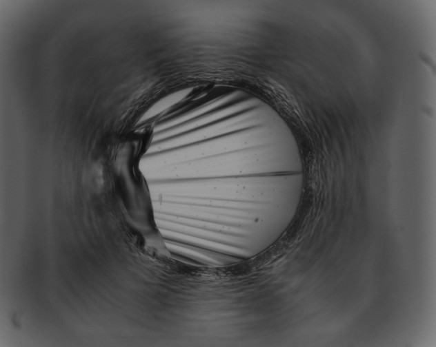 X0000092290697200710051202