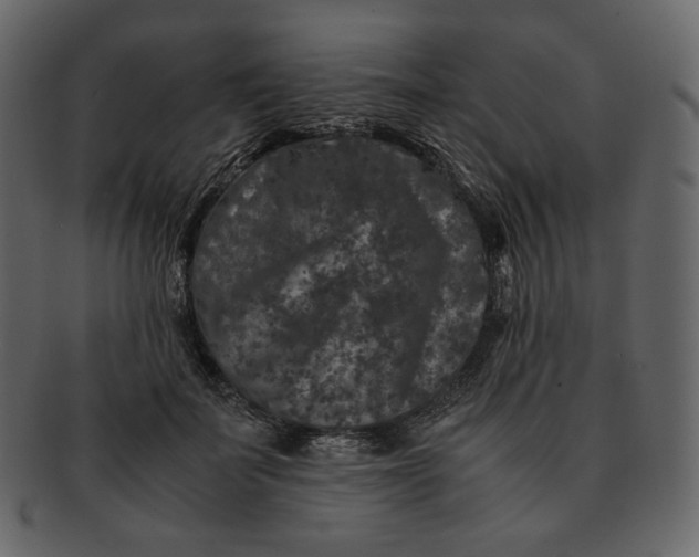 X0000092290699200710051202