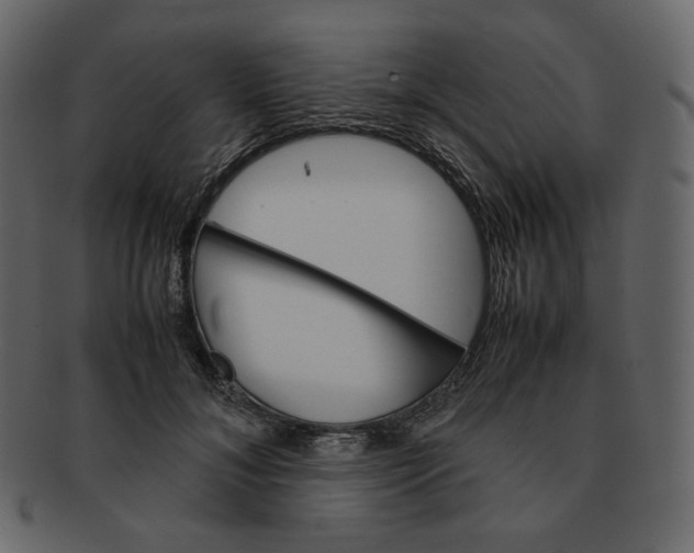 X0000092290700200710051202