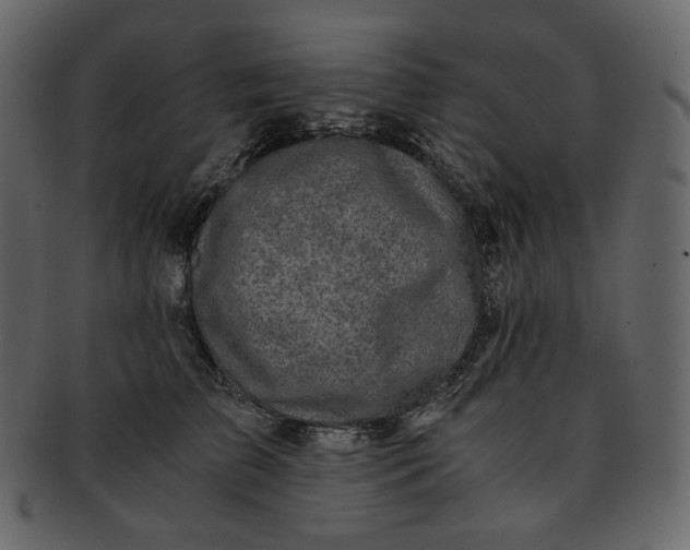 X0000092290709200710051202