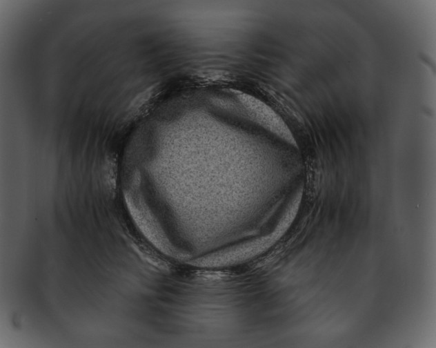 X0000092290710200710051202