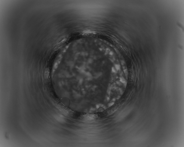 X0000092290711200710051202