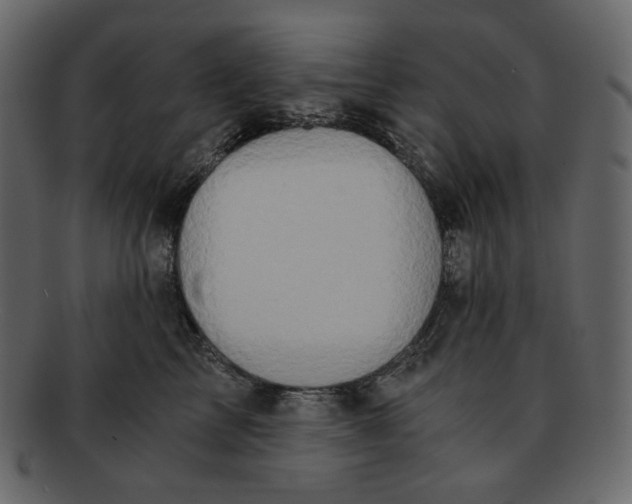 X0000092290713200710051202