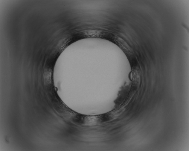 X0000092290717200710051202