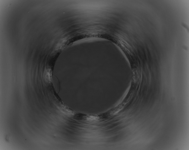 X0000092290718200710051202