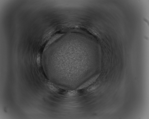 X0000092290720200710051202