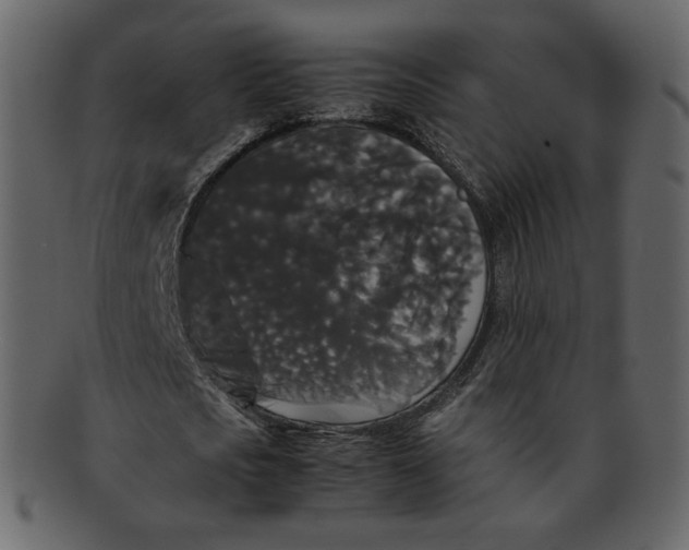 X0000092290721200710051201