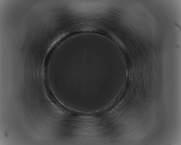 X0000092290722200710051201