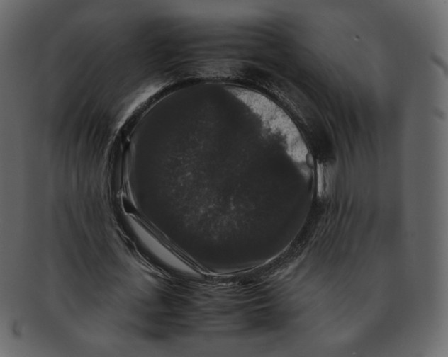 X0000092290723200710051201