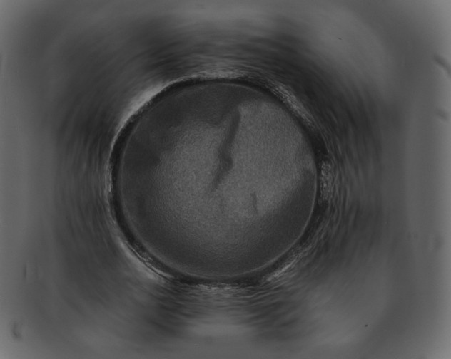 X0000092290726200710051201