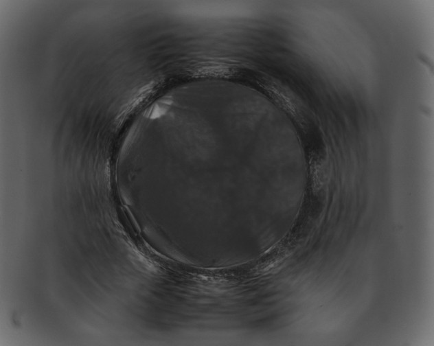 X0000092290729200710051201