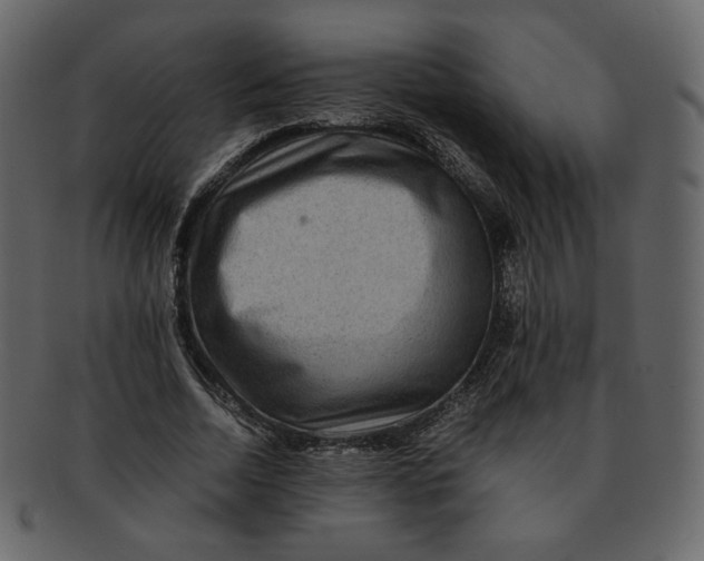 X0000092290730200710051201