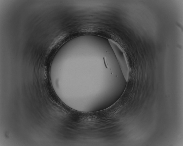 X0000092290731200710051201