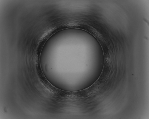 X0000092290732200710051201