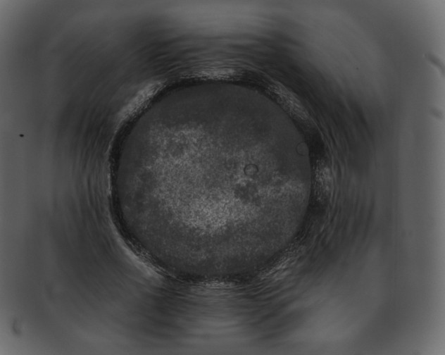 X0000092290734200710051201